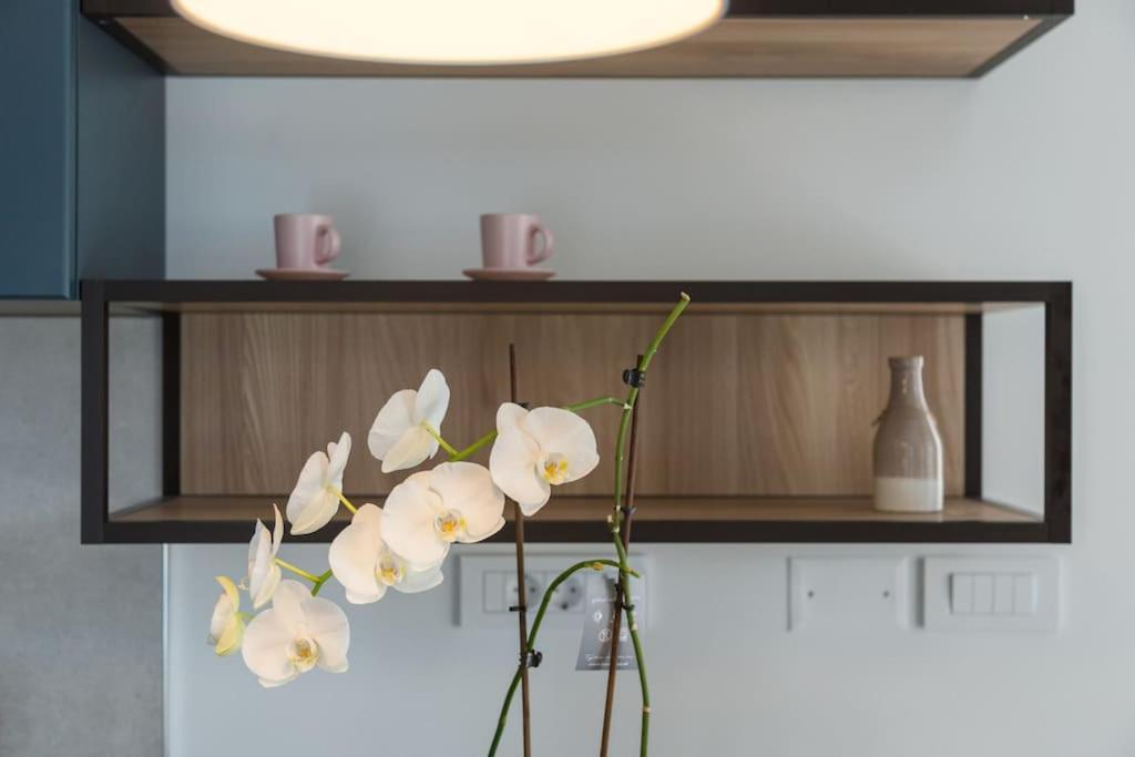 Marcante - Designer, Romantic Pool View Suite 波雷奇 外观 照片