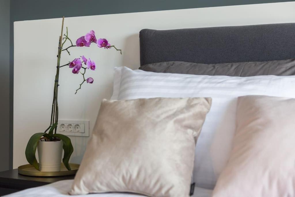 Marcante - Designer, Romantic Pool View Suite 波雷奇 外观 照片
